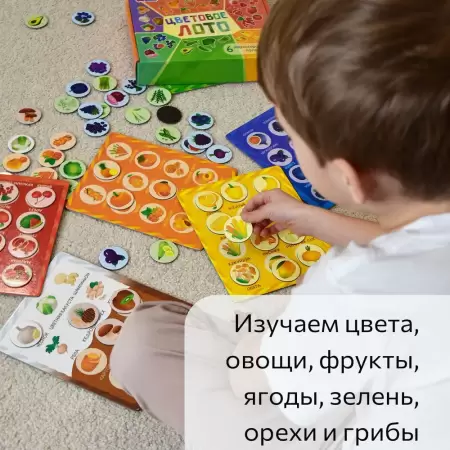 Бигр Магнитная игра Цветовое лото 