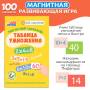 Бигр Магнитная игра "Таблица умножения"