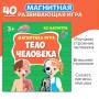 Бигр Магнитная игра "Тело человека" Бигр Магнитная игра "Тело человека"