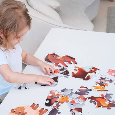 Бигр Пазлы Домашние животные