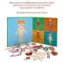 Бигр Магнитная игра "Тело человека" Бигр Магнитная игра "Тело человека"
