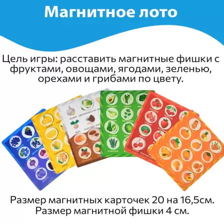 Бигр Магнитная игра Цветовое лото 