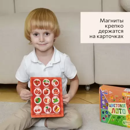 Бигр Магнитная игра Цветовое лото 