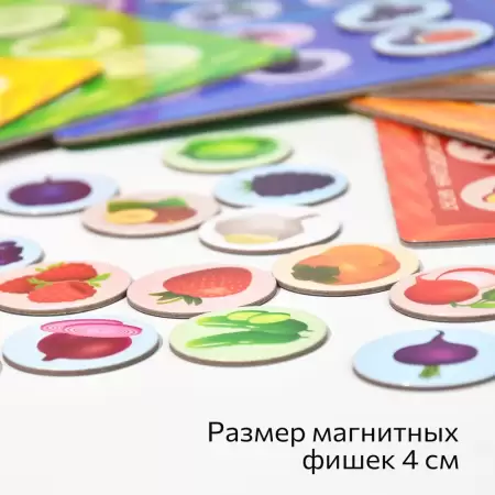 Бигр Магнитная игра Цветовое лото 