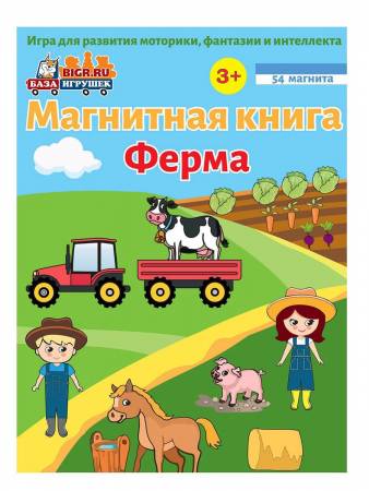 Бигр Магнитная игра Ферма