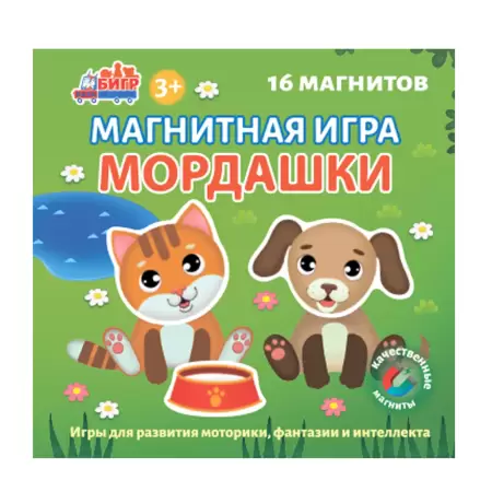 Бигр Магнитная игра "Мордашки"